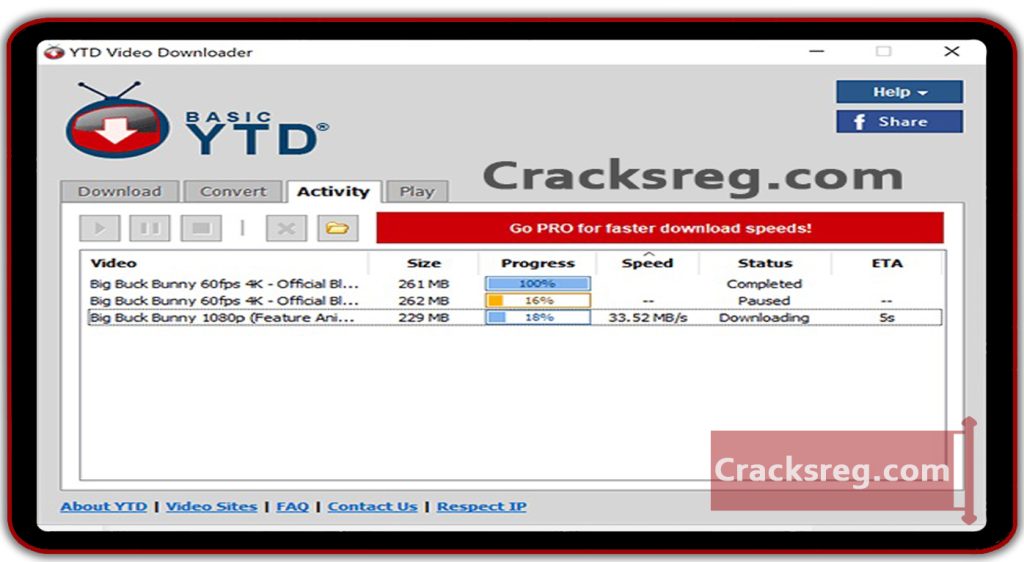 YTD Video Downloader Pro Crack