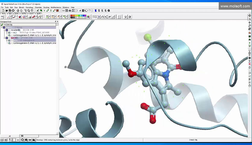 Molsoft ICM-Pro Crack