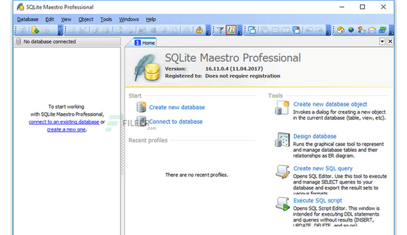 SQLite Maestro Professional With Crack