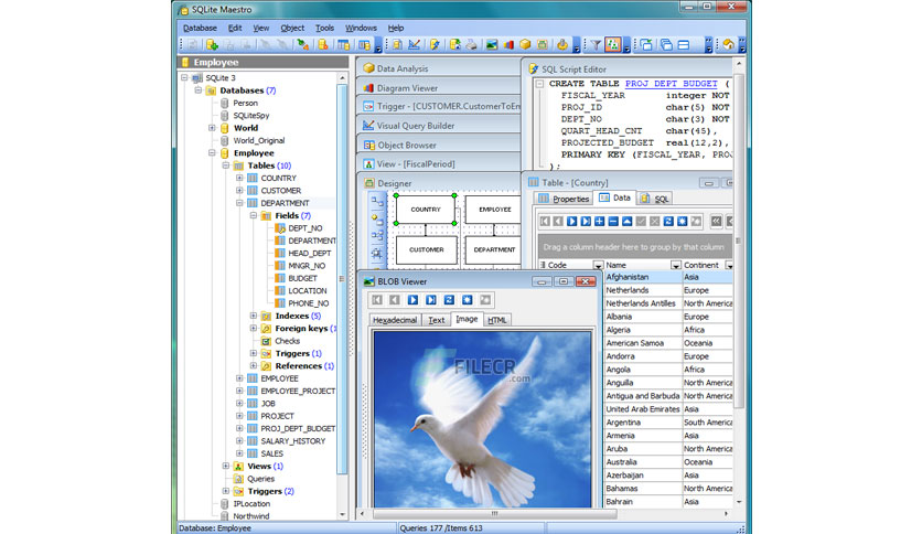 SQLite Maestro Professional With Crack