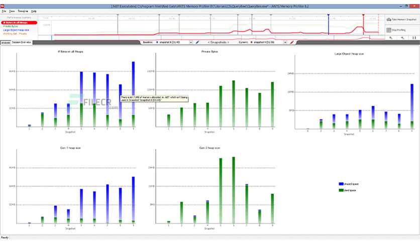 Red Gate ANTS Memory Profiler Crack